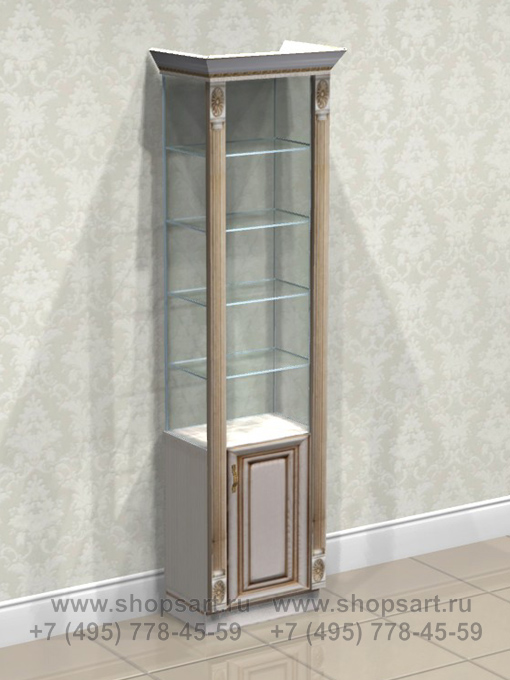 Витрина с колоннами и накопителем.